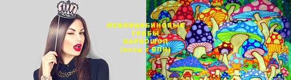 хмурый Няндома