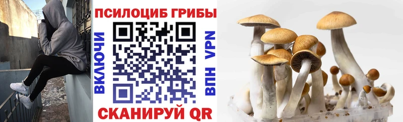 Галлюциногенные грибы Cubensis  MEGA ссылка  Лабытнанги 