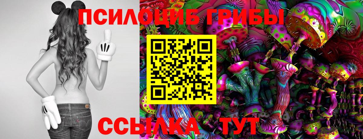 Лабытнанги  Псилоцибиновые грибы MAGIC MUSHROOMS  Вход с VPN 